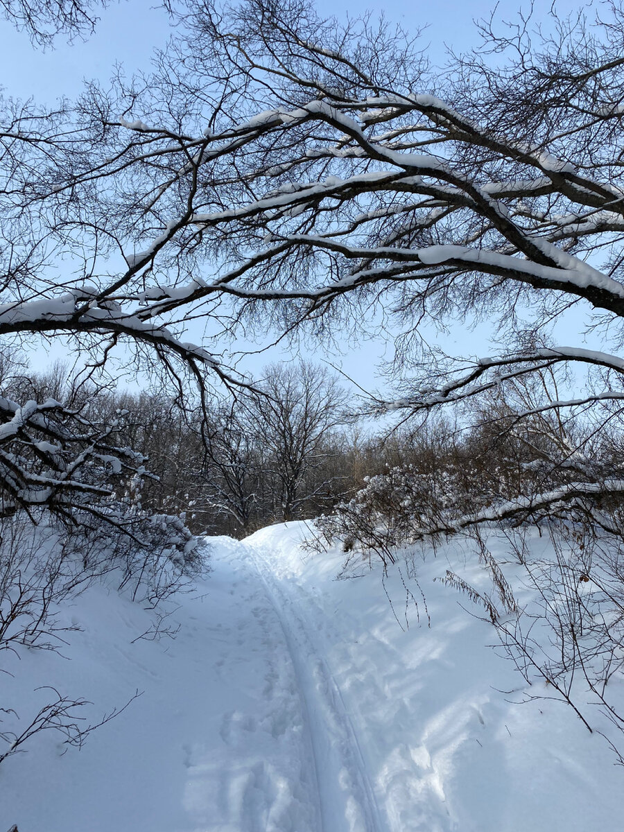  Только вперёд! Фото автора. 