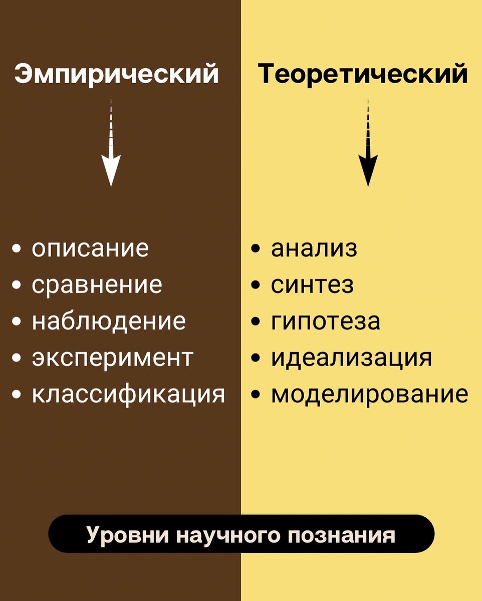 Тема «Наука» в ЕГЭ по обществознанию | ЕГЭ на MAXIMUM: история /  обществознание | Дзен