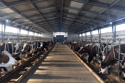    Сельскохозяйственная ферма ©