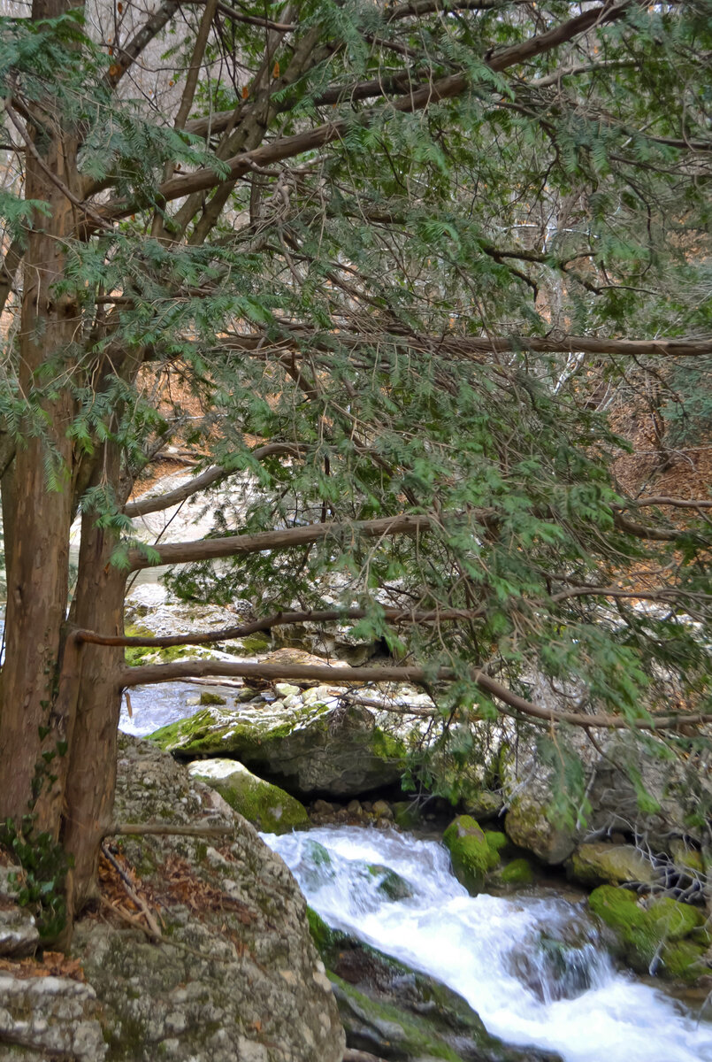 Большой Каньон Крыма [Фото: Т. Зорова]