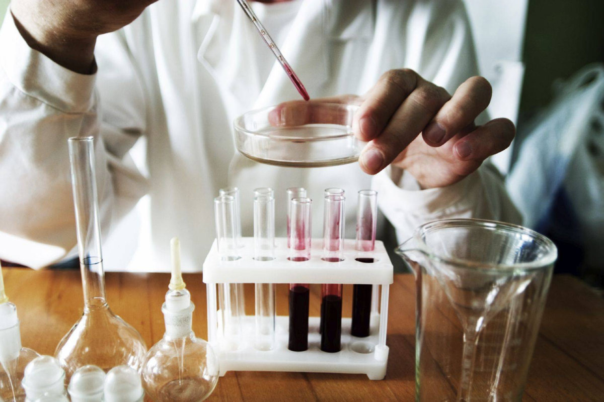 все фото - яндекс-картинки