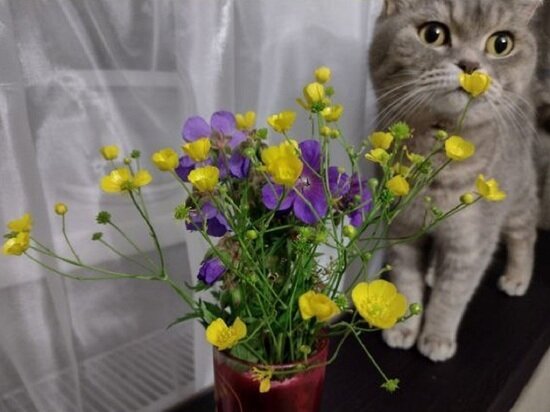     Фото: МК Ямал