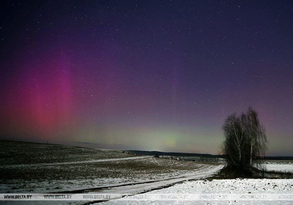     Полярное сияние в Беларуси. Фото: belta.by