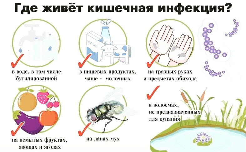 Рисунок кишечной инфекции