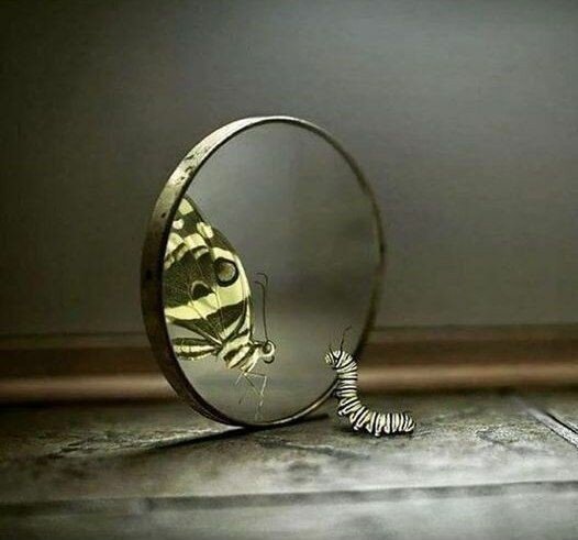 Яндекс картинки.