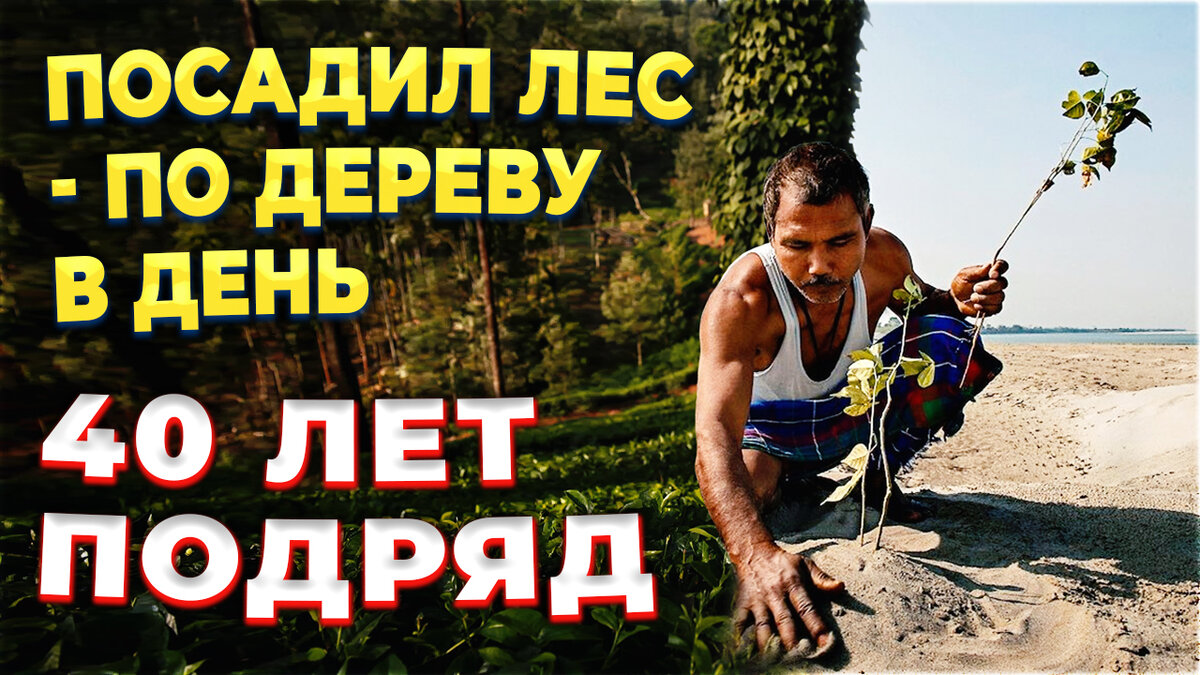 Посадил лес в одиночку, сажая по дереву в день 40 лет подряд. Джадав Пайенг (Jadav Payeng) создал лес площадью 15 футбольных стадионов.