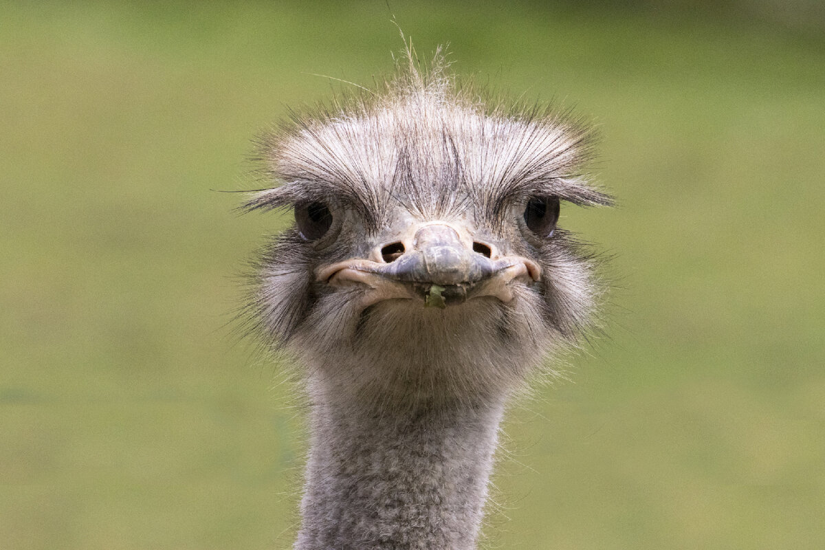   Фото: istockphoto.com