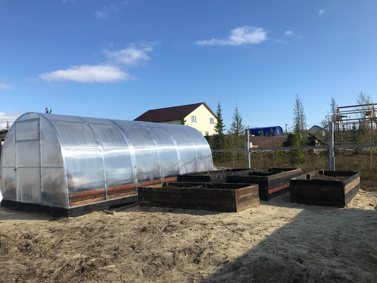 Май 2020. Фото автора.