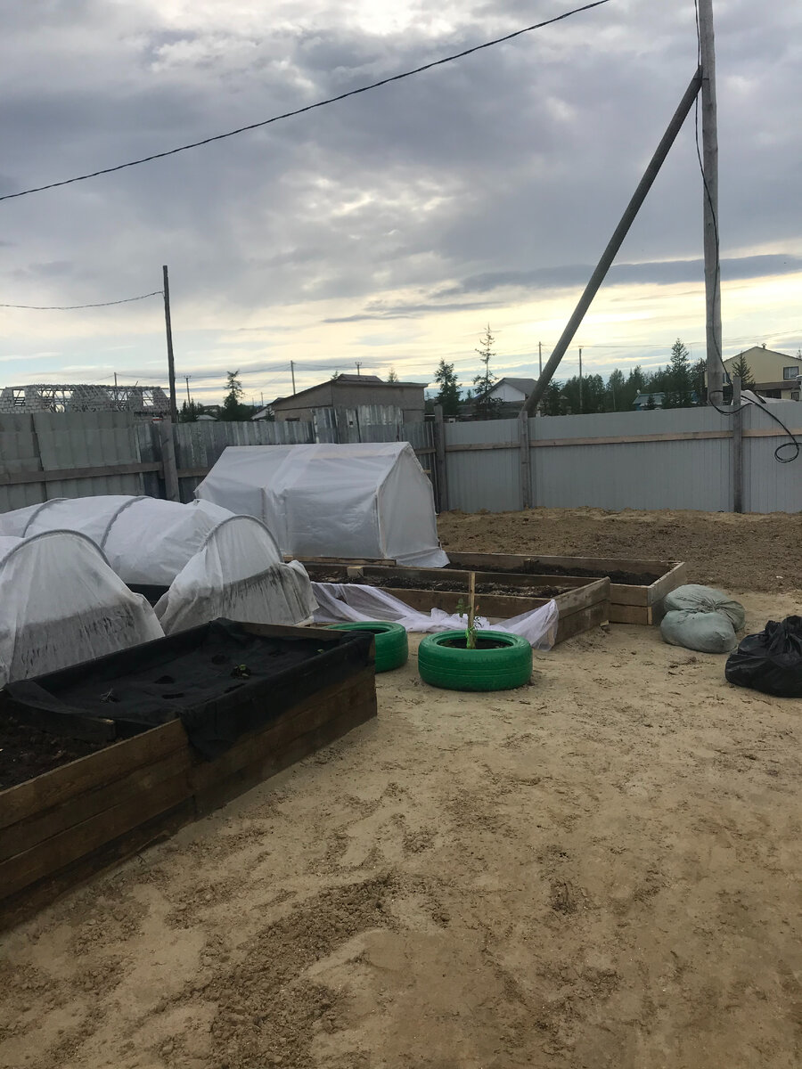 Июнь 2020. Фото автора.