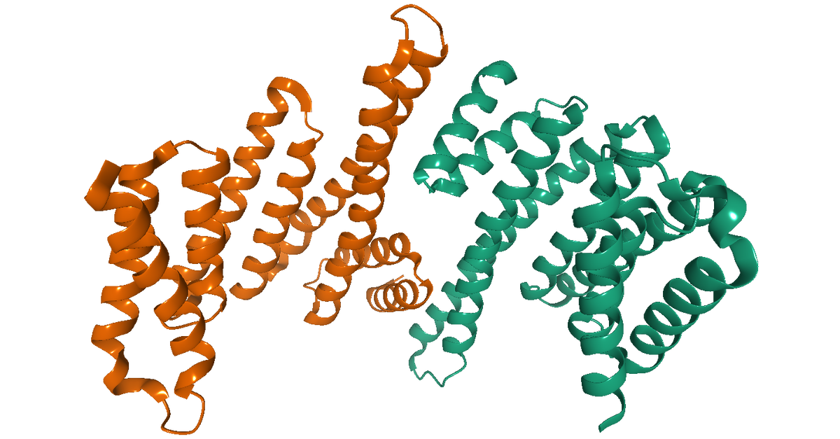 10 5 г белки 3. Белок 14-3-2. Белок 14.3.3.3. Protein разных форм. Полипетид белок.