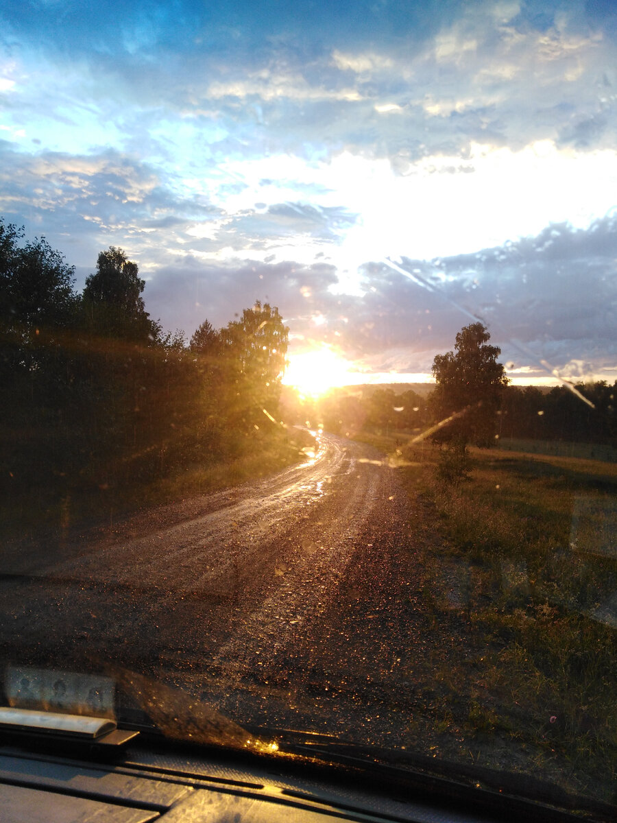 Дорога на пасеку.