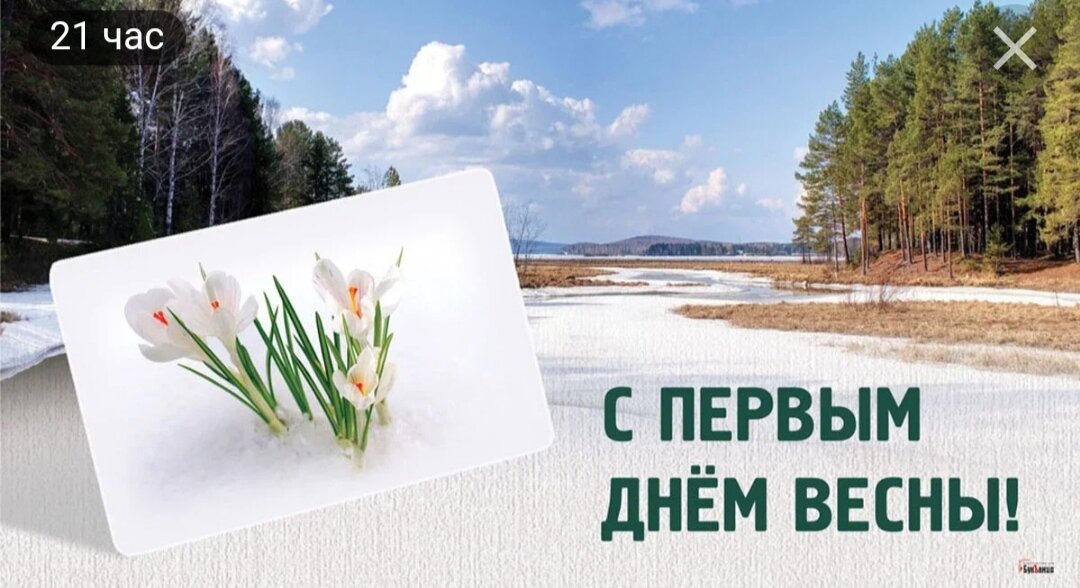Фото из открытых источников. 