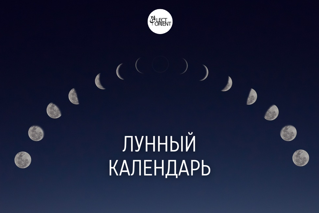 Фото взято из открытого фотостока Canva