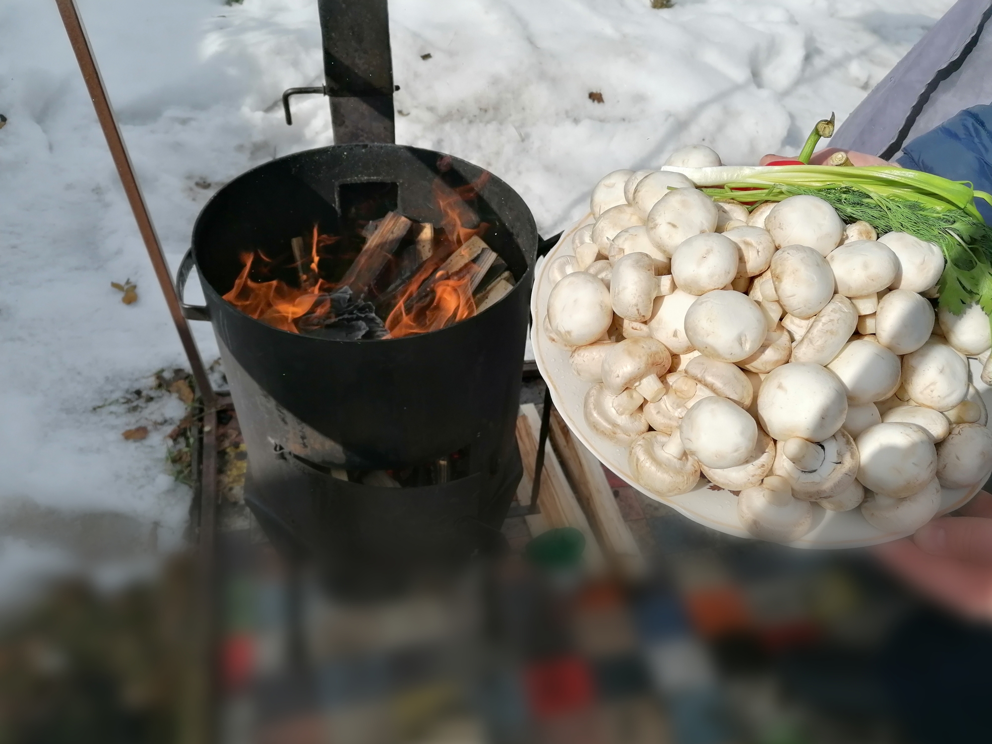 ЖАРЕНЫЕ ГРИБЫ ШАМПИНЬОНЫ В КАЗАНЕ НА КОСТРЕ🔥