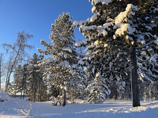     Фото: администрация Красноселькупского района