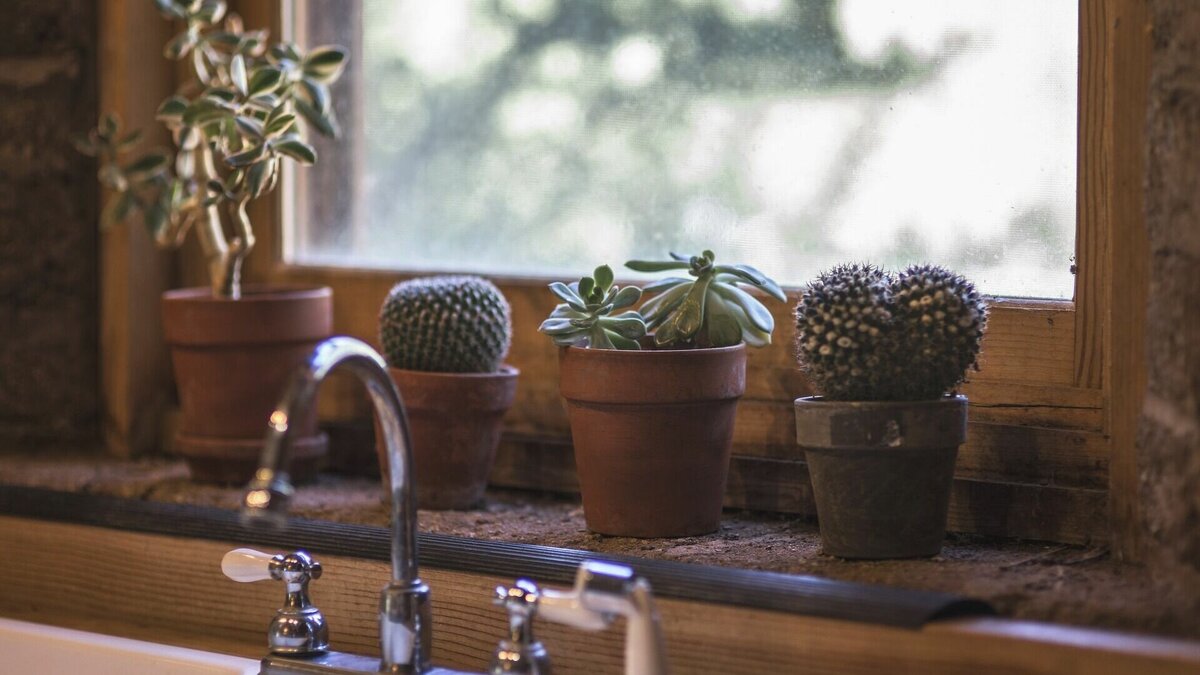     Собственные сауны, спортзал и панорамные окна— такие условия проживания можно встретить в Карелии. Однако стоить это будет… десятки миллионов рублей. Посмотрели популярные сайты объявлений и подготовили обзор самой дорогой недвижимости, которая продается в Петрозаводске и Карелии.