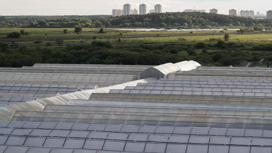      Фото: ИЗВЕСТИЯ/Дмитрий Коротаев