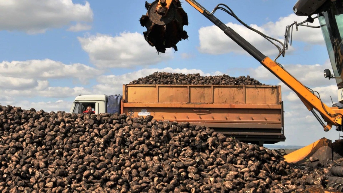      © РИА Новости / Леся Полякова