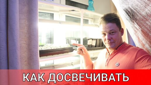 идеальная схема досветки рассады всех культур без фитоламп