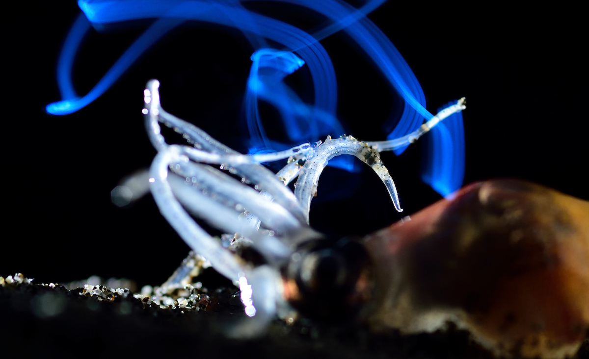 Время дискотеки!