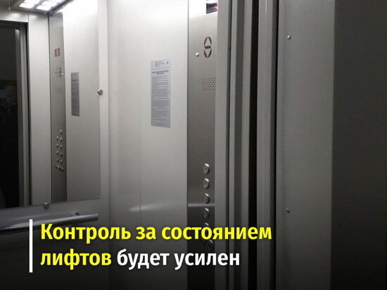     Фото: администрация Курской области