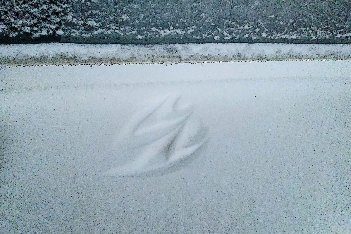 Это не птичьи следы, это шлем полежал на офисном окне.