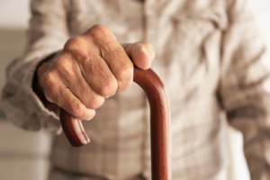    Фото: krasrab.ru Карина Романова