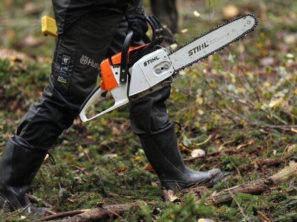    © РИА Новости Константин Чалабов