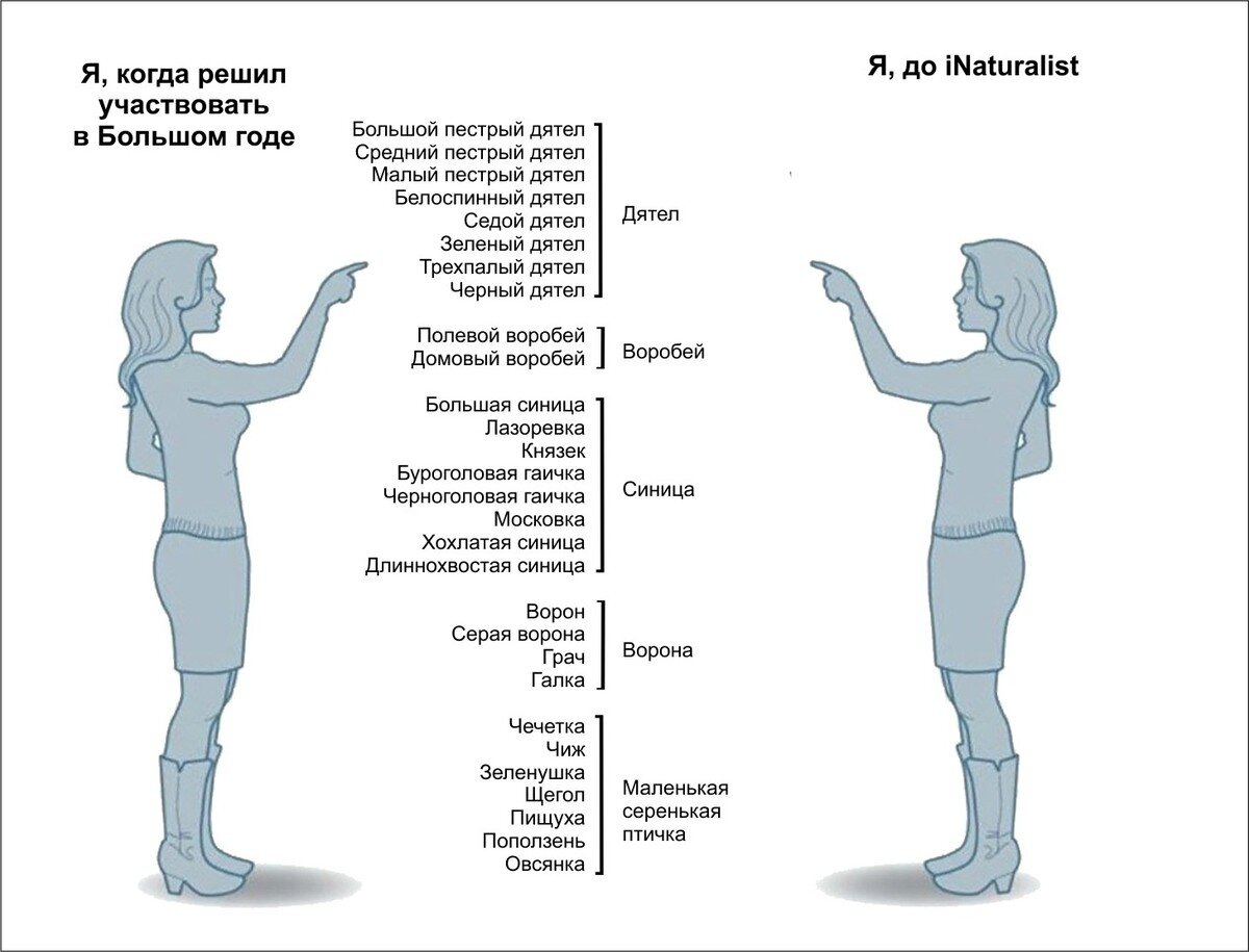 Большой год)