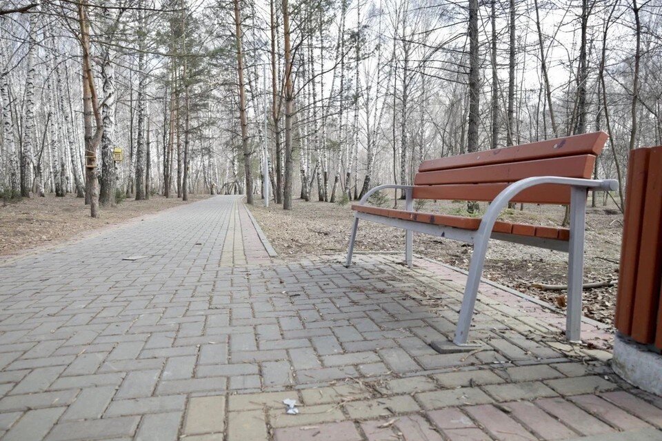   Ксения Высотина