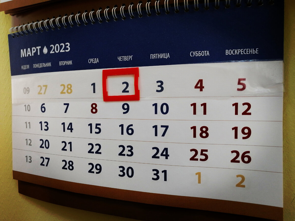 Настал март, а значит пришло время отчитаться о проделанной работе в феврале 2023 года