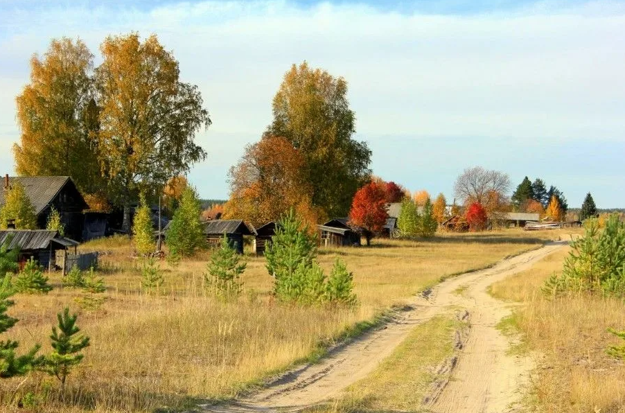 Яндекс картинки