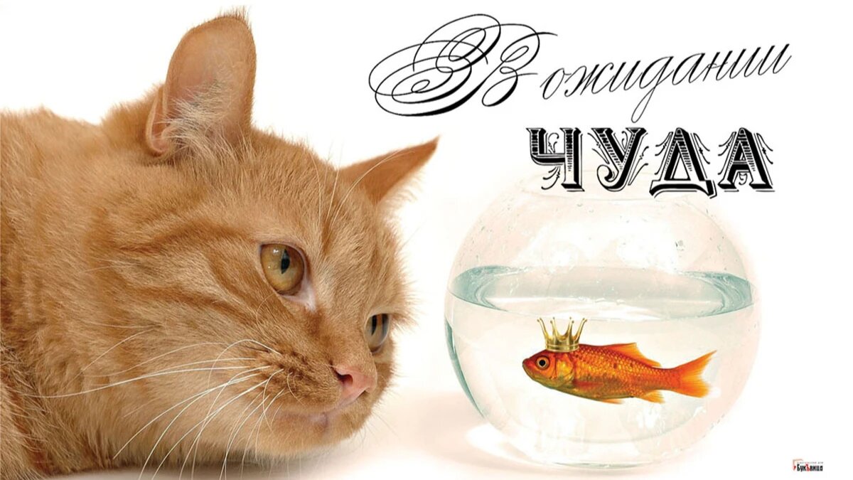 День ожидания чуда. Иллюстрация: «Курьер.Среда»