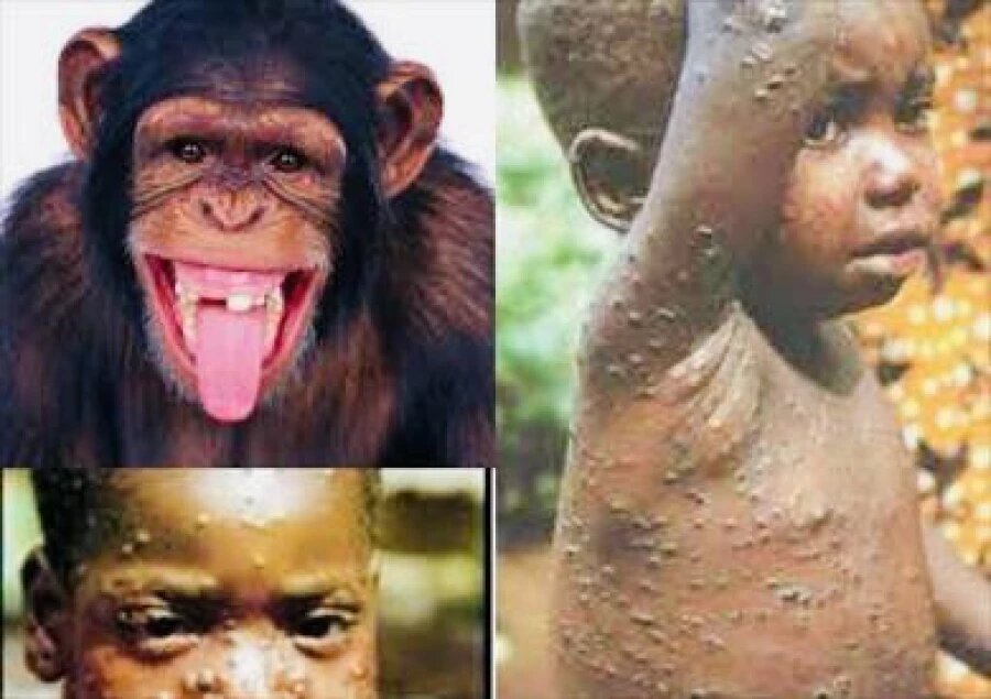 Источники: | profile.ru