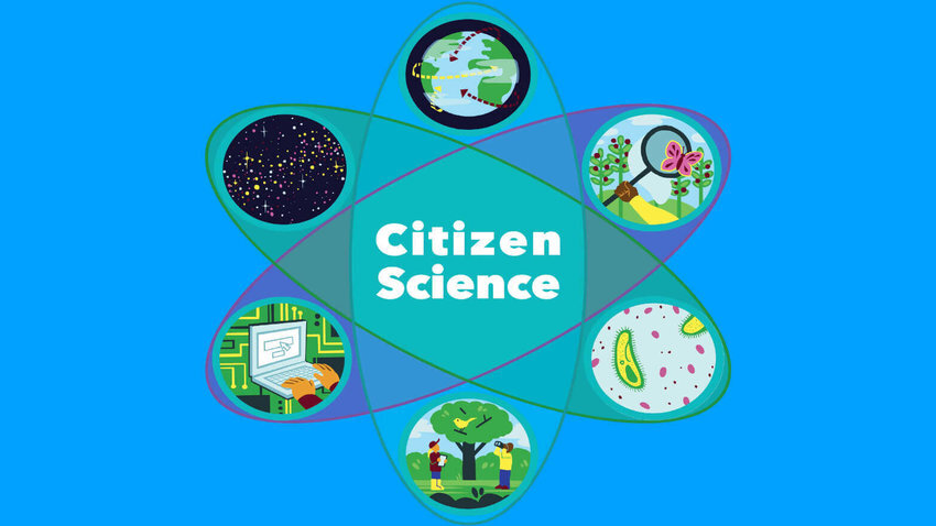 Источник: citizenscience.org