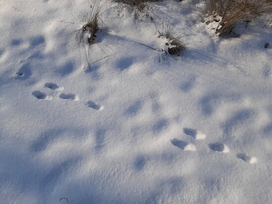     Фото: Евгений Кузнецов