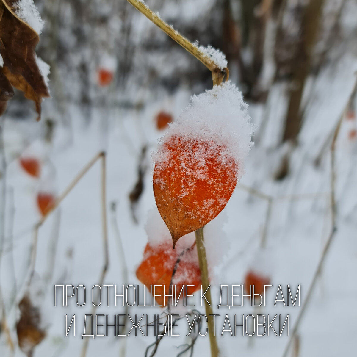 Фотография: https://grishin-photo.ru