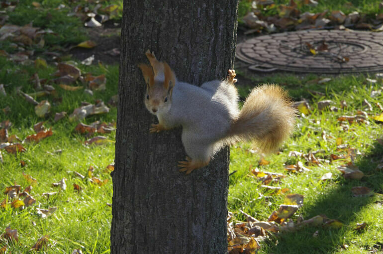   Игорь Самохвалов/ПГ