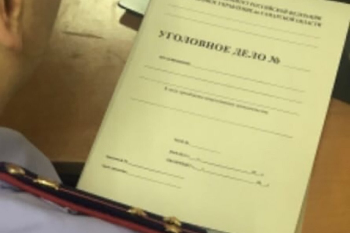    В нападении псов на мальчика обвиняют фирму по отлову бездомных собак