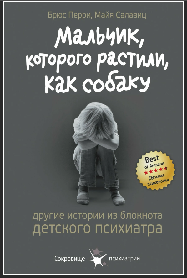 Вариант книжной обложки