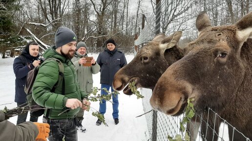 СОТРУДНИКИ МОСКОВСКОГО ЗООПАРКА В ПОДМОСКОВНОМ САФАРИ-ПАРКЕ 13.02.2023