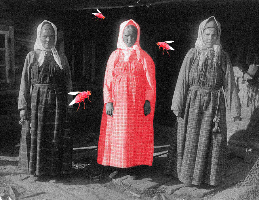 Фото: Общественное достояние