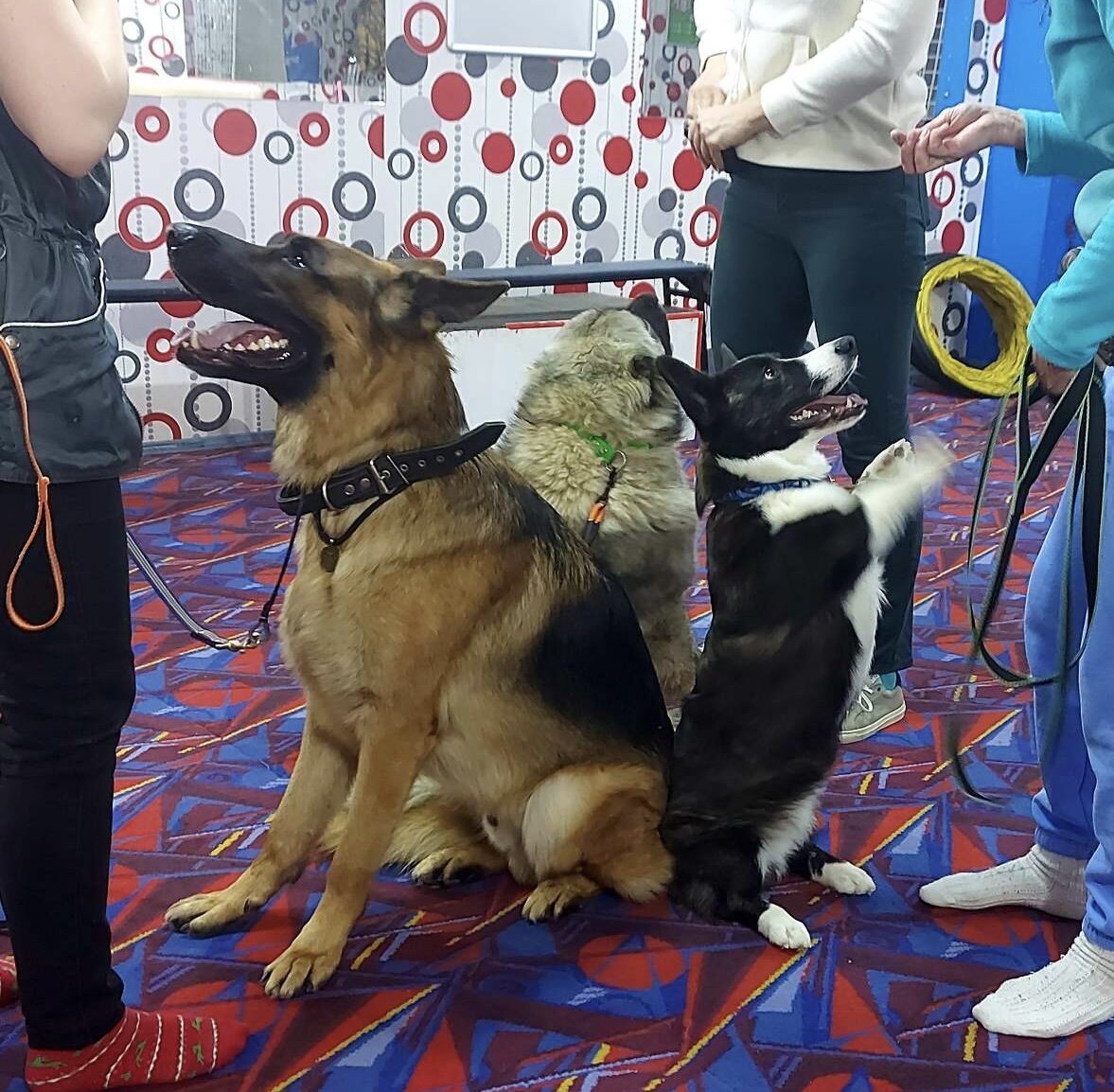 Смотрю на Ксюшу 