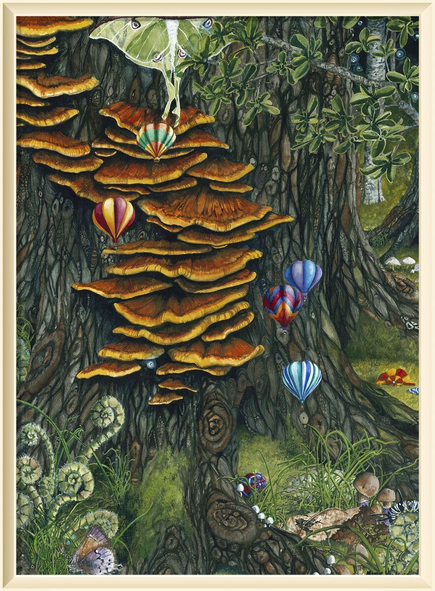 ©️ Мэгги Вандевалле / Maggie Vandewalle Balloon Races/ Гонки на воздушном шаре