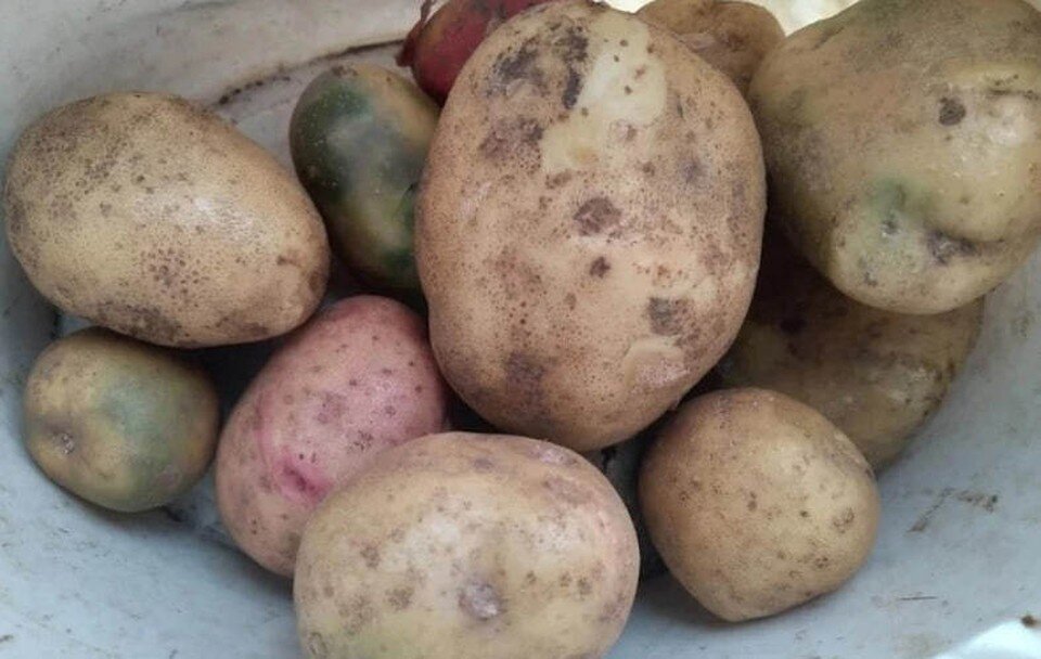     Фото: Наталья Меркулова