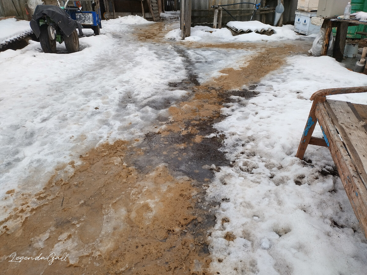 Местами даже землю стало видно