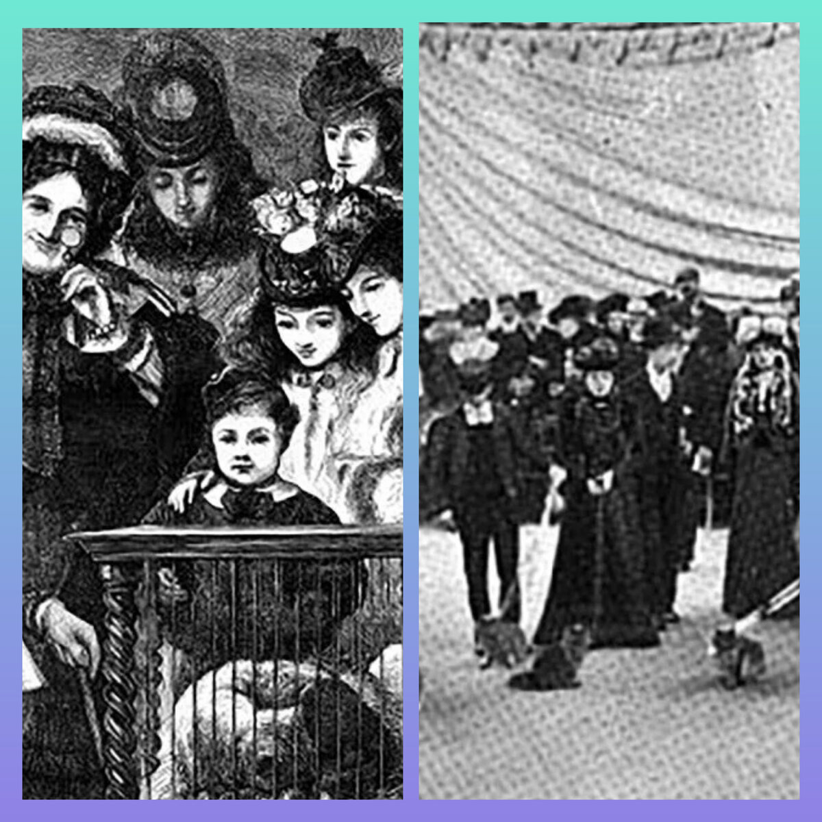 Справа, наверное, первый в мире сравнительный ринг))))