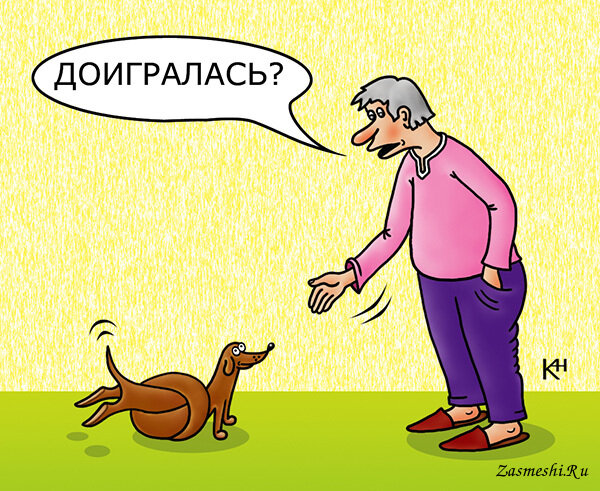 Фото: из открытых источниов 