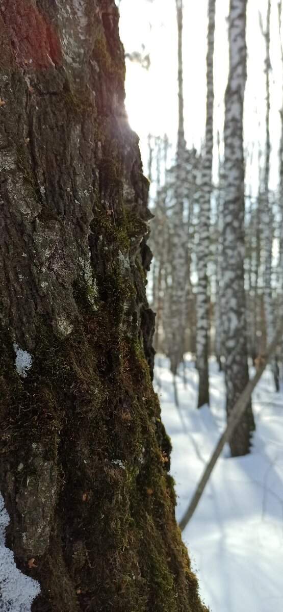 Фото автора 15 марта 2021 