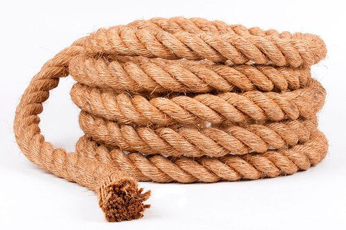 Фото из общедоступной сети Интернет.